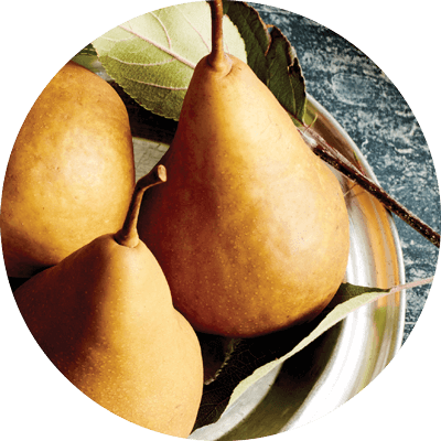 Pears - Beurre Bosc