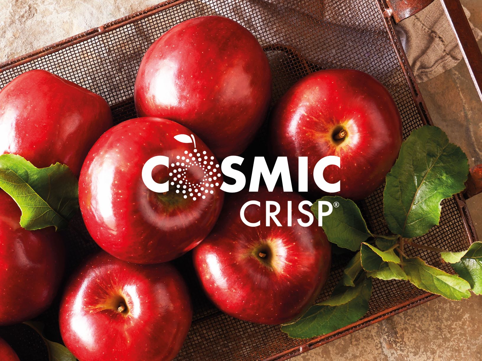 https://redrichfruits.com.au/wp-content/uploads/2019/07/Cosmic-Crisp-header-image_sml.jpg